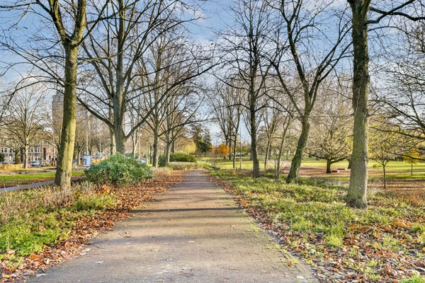 Medium property photo - Rijnstraat 238-3, 1079 HV Amsterdam